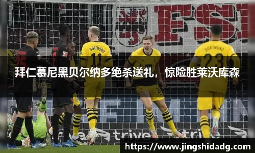 好博体育官网版